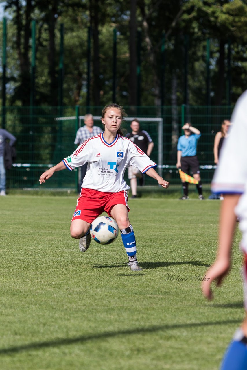 Bild 220 - wBJ Hamburger SV : SV Henstedt Ulzburg : Ergebnis: 4:2